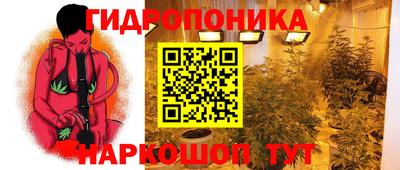PSILOCYBIN Обь