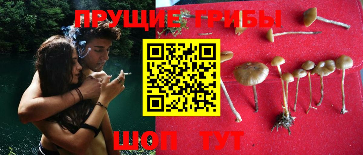 Галлюциногенные грибы мухоморы Первоуральск