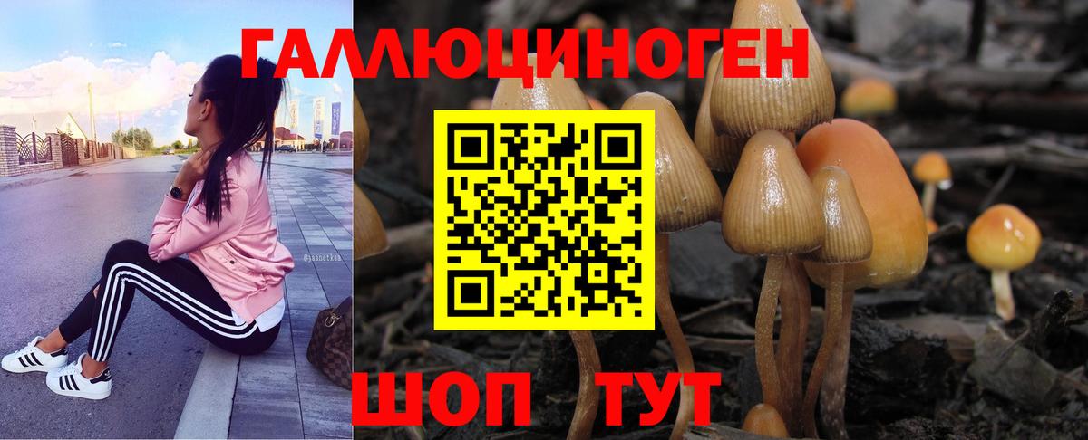 Первоуральск  Псилоцибиновые грибы прущие грибы  Вход с VPN 